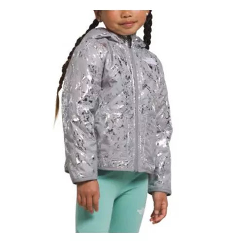 The north face clearance shiny jacket