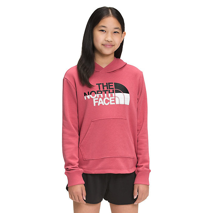 the north face rose hoodie