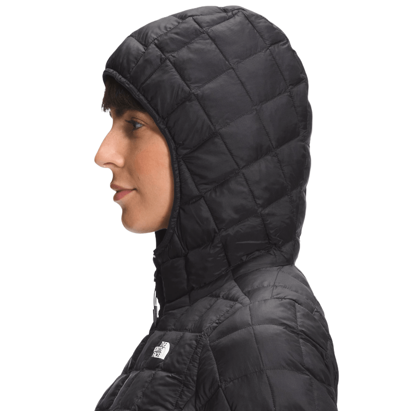 Thermoball eco hoodie discount women's