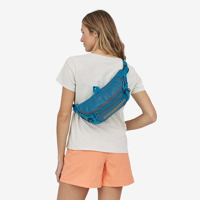 Patagonia fanny pack 5l Clearance