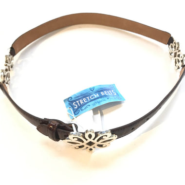 Women's Brighton | Apollo Stretch Belt | Brown
