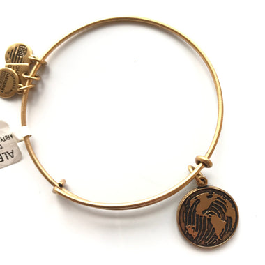 Women's Alex And Ani | Generation On Bangle Bracelet | Rose Gold