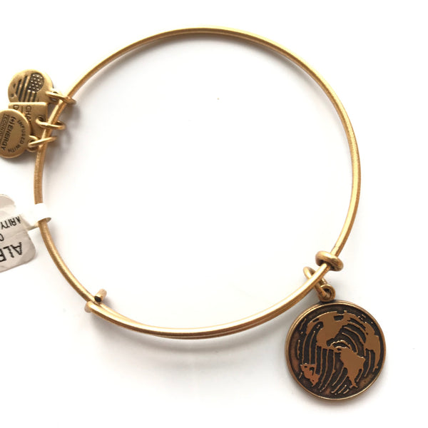 Women's Alex And Ani | Generation On Bangle Bracelet | Rose Gold