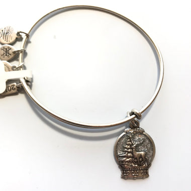 Women's Alex And Ani | Snow Globe Bangle Bracelet | Rafaelian Silver