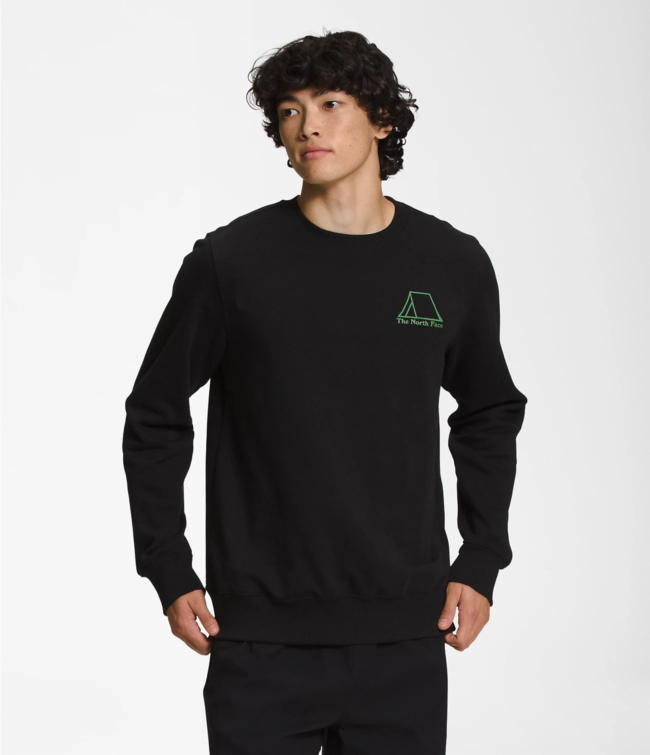North face top wells cove pullover